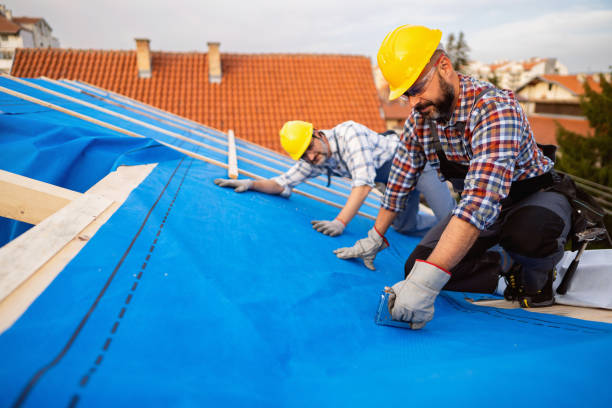Best Roof Gutter Cleaning  in Bainbridge, PA