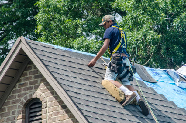 Best Storm Damage Roof Repair  in Bainbridge, PA